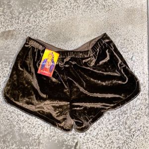 Velvet Shorts